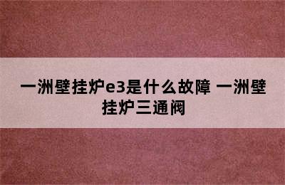 一洲壁挂炉e3是什么故障 一洲壁挂炉三通阀